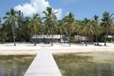 Enlarge photo 58