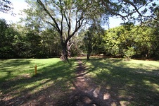 Enlarge photo 106