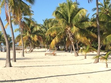 Enlarge photo 49
