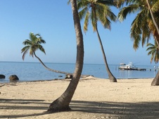 Enlarge photo 53