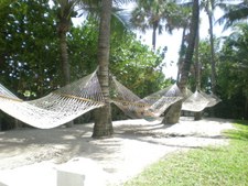 Enlarge photo 43