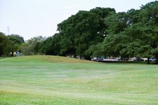 Enlarge photo 88