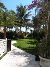 Enlarge photo 33