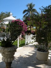 Enlarge photo 37