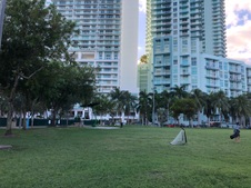 Enlarge photo 58