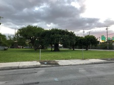 Enlarge photo 87
