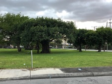 Enlarge photo 88