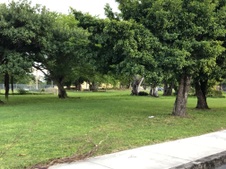 Enlarge photo 92