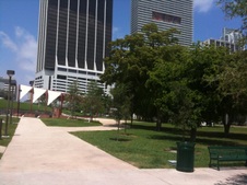 Enlarge photo 65