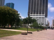 Enlarge photo 71