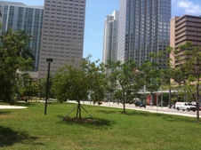 Enlarge photo 72