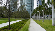 Enlarge photo 121