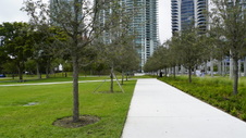 Enlarge photo 128