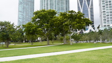 Enlarge photo 97