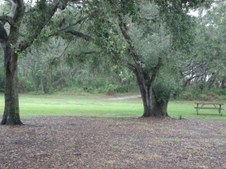 Enlarge photo 78