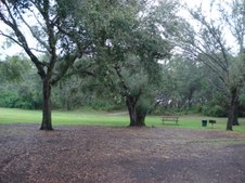 Enlarge photo 79