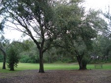 Enlarge photo 80
