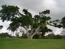 Enlarge photo 76