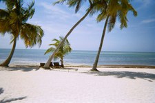 Enlarge photo 139