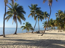 Enlarge photo 129