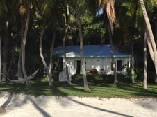 Enlarge photo 132