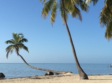 Enlarge photo 134
