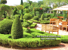 Enlarge photo 54