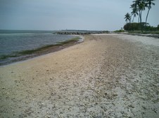Enlarge photo 30
