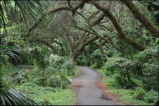Enlarge photo 129