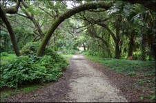 Enlarge photo 130