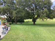 Enlarge photo 62
