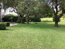 Enlarge photo 63
