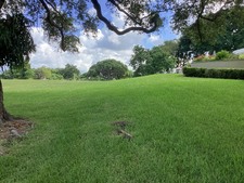 Enlarge photo 49