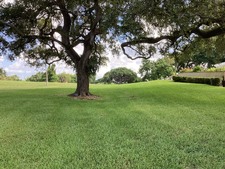 Enlarge photo 52