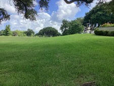 Enlarge photo 51