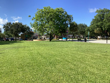 Enlarge photo 90