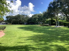 Enlarge photo 93