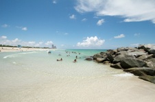 Enlarge photo 119