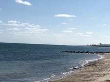 Enlarge photo 25