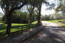 Enlarge photo 124