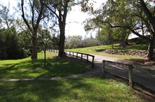 Enlarge photo 127