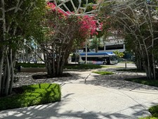 Enlarge photo 211