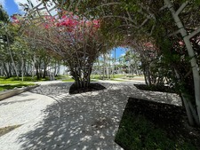 Enlarge photo 209