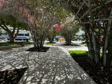 Enlarge photo 208