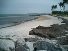 Enlarge photo 28