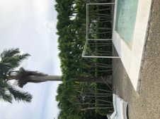 Enlarge photo 51