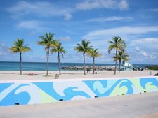 Enlarge photo 80
