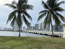 Enlarge photo 48