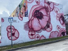 Enlarge photo 17