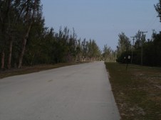 Enlarge photo 34